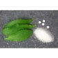 公司**热卖食品级甜菊糖甙甜菊糖甙详细说明高含量甜味剂甜菊糖甙